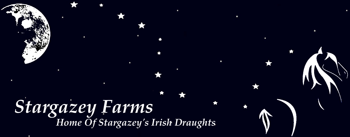 Stargazey Farms